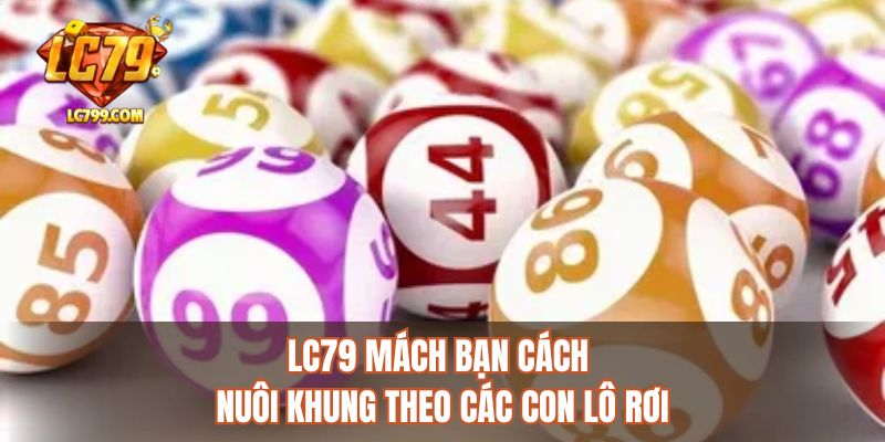 LC79 mách bạn cách nuôi khung theo các con lô rơi
